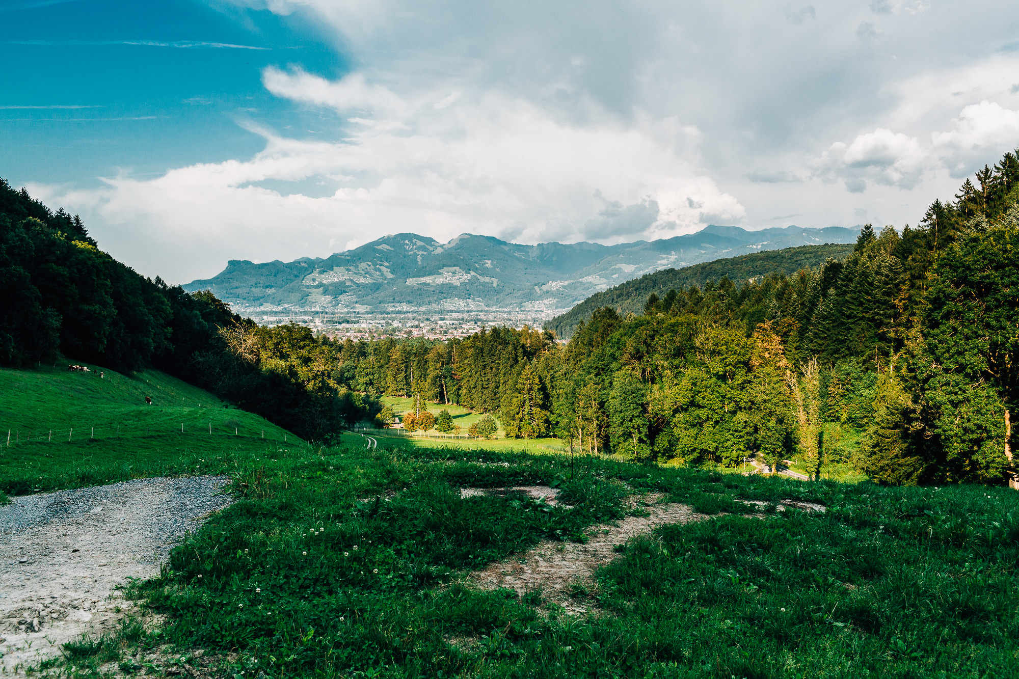 Export x3 070 HE 695 Beispiele Eva 2016